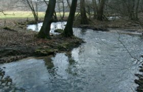 Unveiling the Mysteries of Neanderthal Valley: A Journey Through Time