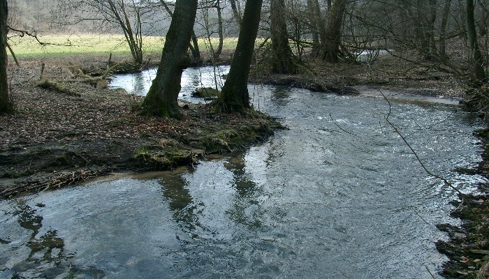 Unveiling the Mysteries of Neanderthal Valley: A Journey Through Time