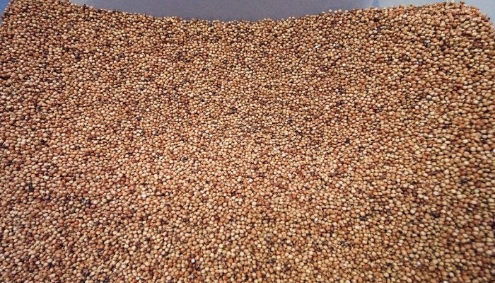 Optimizing growth in the Dal Milling Process