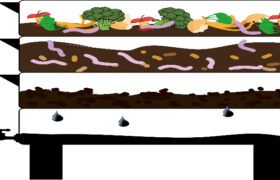 Unleashing the Power of Organic Farming for Sustainable Agriculture