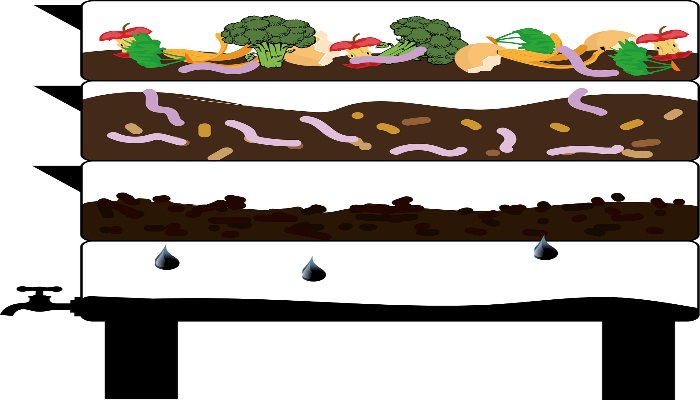 Unleashing the Power of Organic Farming for Sustainable Agriculture