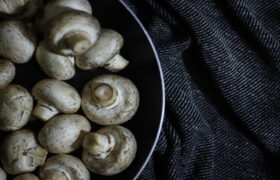 Important facts of Button Mushroom