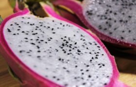 Exploring the surprising facts of Dragon Fruit