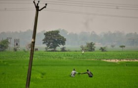 Green revolution after World War