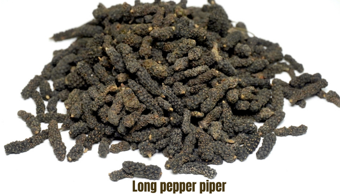 Basic information on Long Pepper Piper
