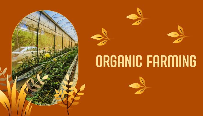 Why is Organic farming important ?