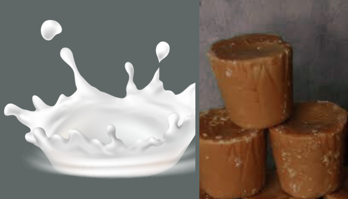 jaggery milk