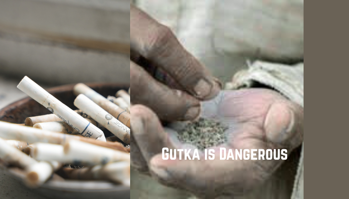 HAZARDOUS GUTKA