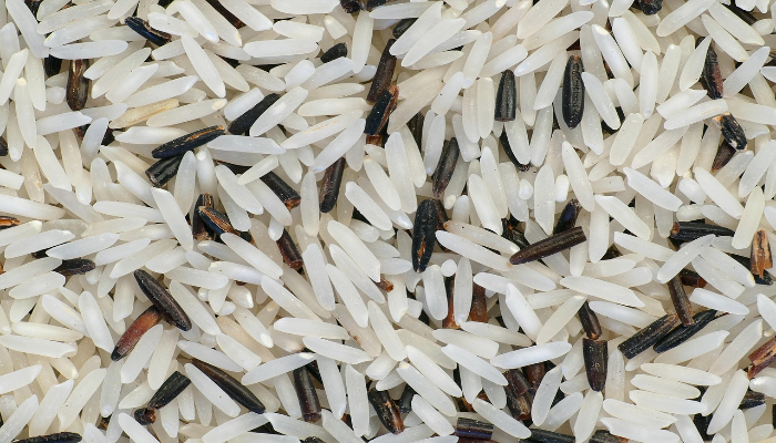 jasmine rice