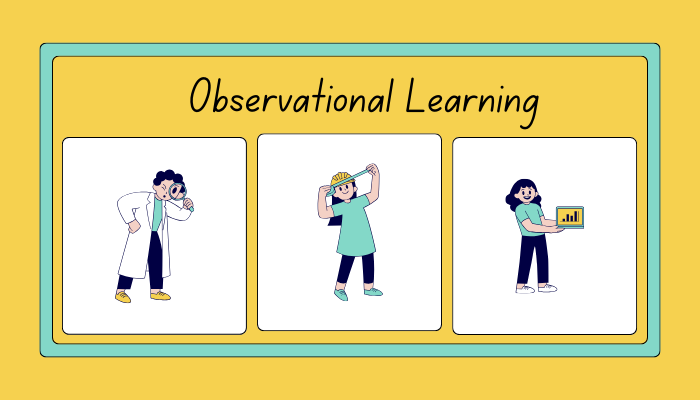 observation in learning