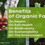 How Can Organic Farming Help Save Our Planet?