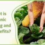 Organic Farming: Good for the Earth and You?