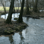 The Neanderthal valley