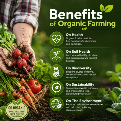 How Can Organic Farming Help Save Our Planet?